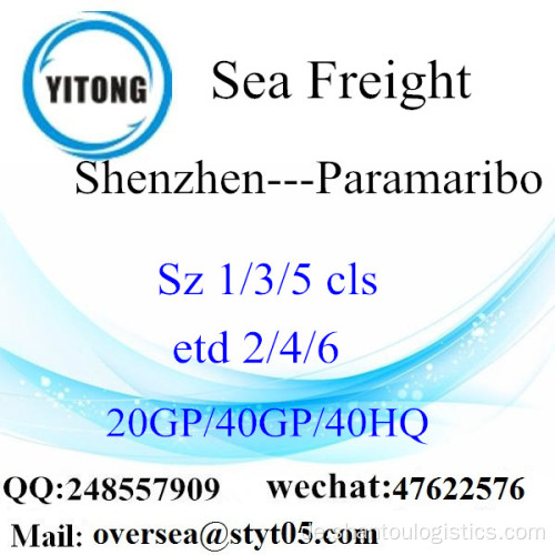 Shenzhen Port Seefracht Versand nach Paramaribo